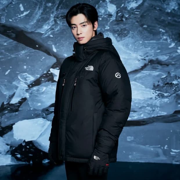 [L]23fw 노스페이스 히말라얀 파카 히말라야 (NJ1DP99A)