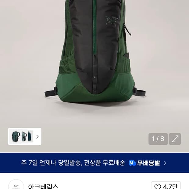아크테릭스 백팩 