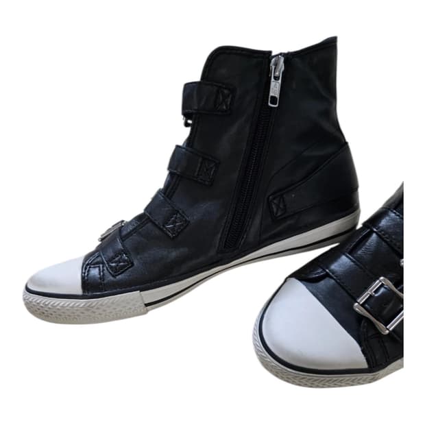 40) Ash 스니커즈