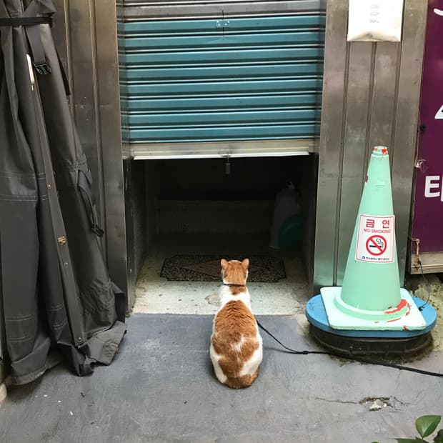 팔로워 만원 할인이벤트