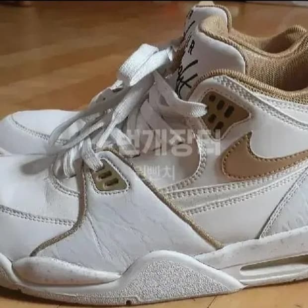 나이키 에어 플라이트89 270