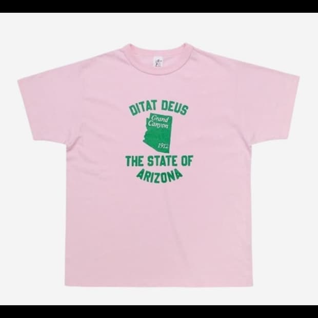 컬렉트피시스 아리조나 반팡티셔츠