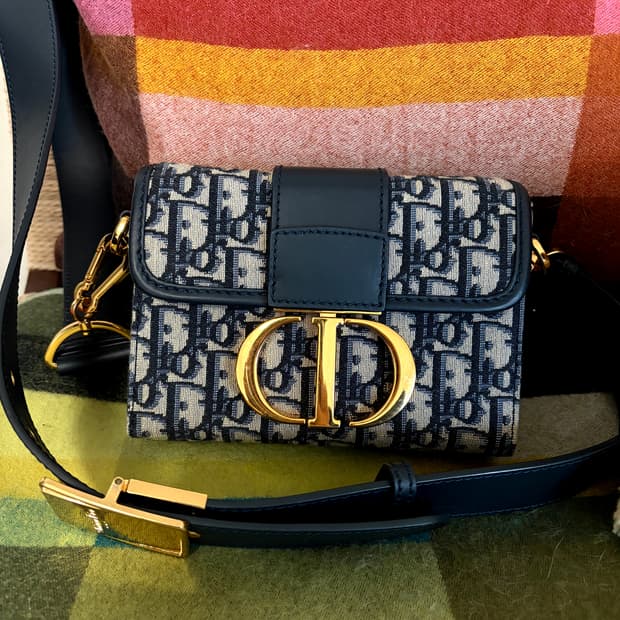 디올 카메라백