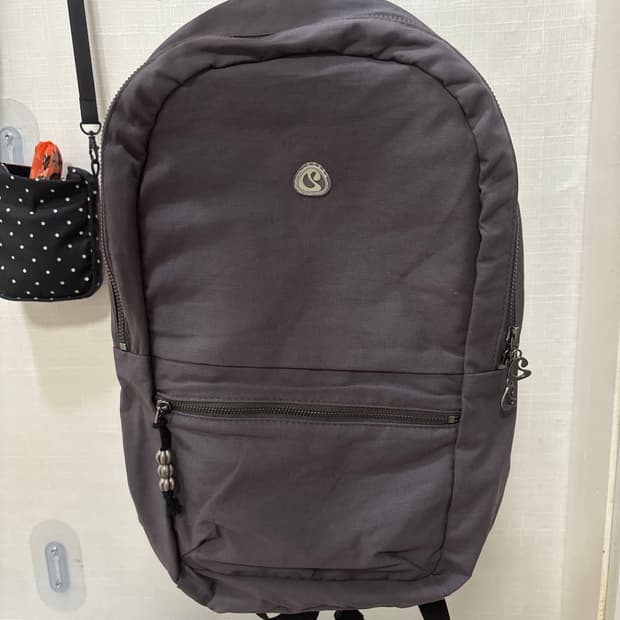 코이세이오 COYSEIO 코이 백팩 퍼플그레이