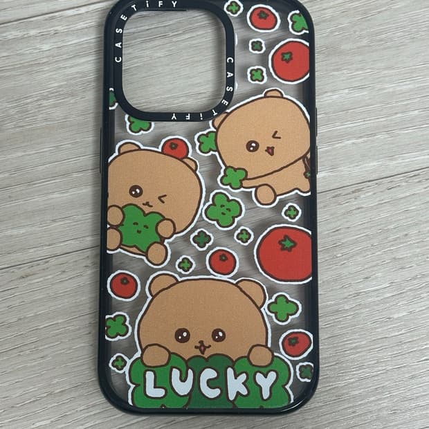 케이스티파이 최고심 14pro