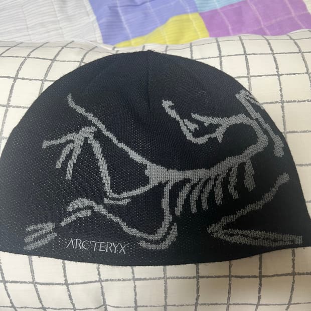 아크테릭스 버드 헤드 비니