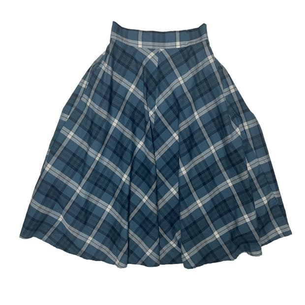Blue check flared skirt