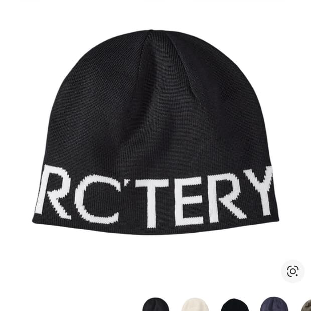 아크테릭스 월드 헤드 토크 오르카 비니