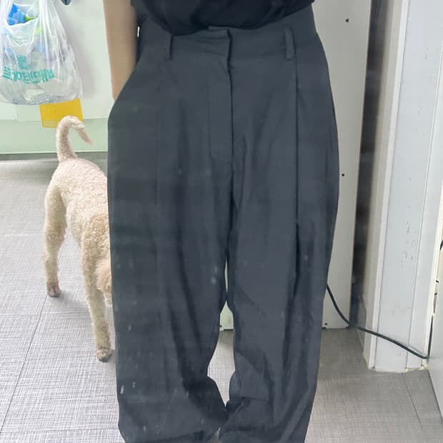 트리밍버드 와이드핀턱슬랙스 챠콜 그레이