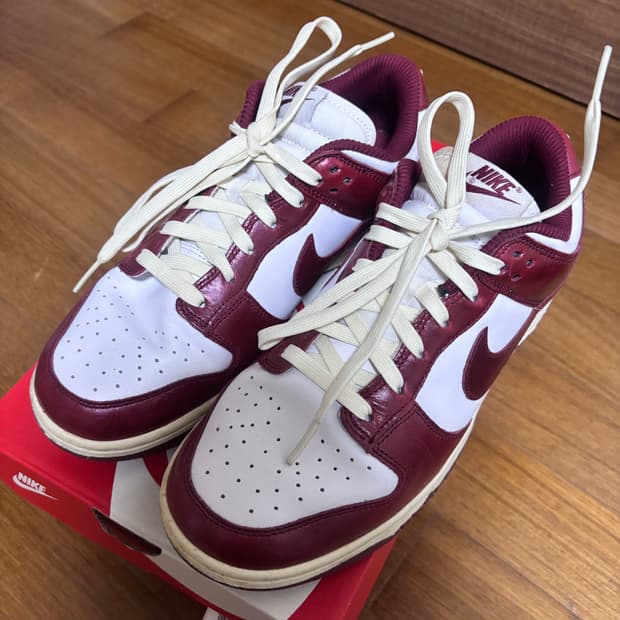 나이키 덩크 로우 레트로 팀레드 270