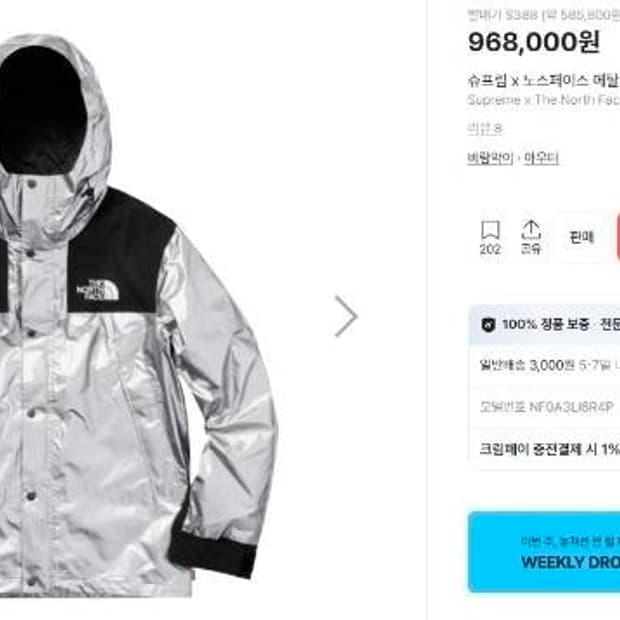 슈프림X노스페이스 메탈릭 마운틴 파카 바람막이 자켓 100/L