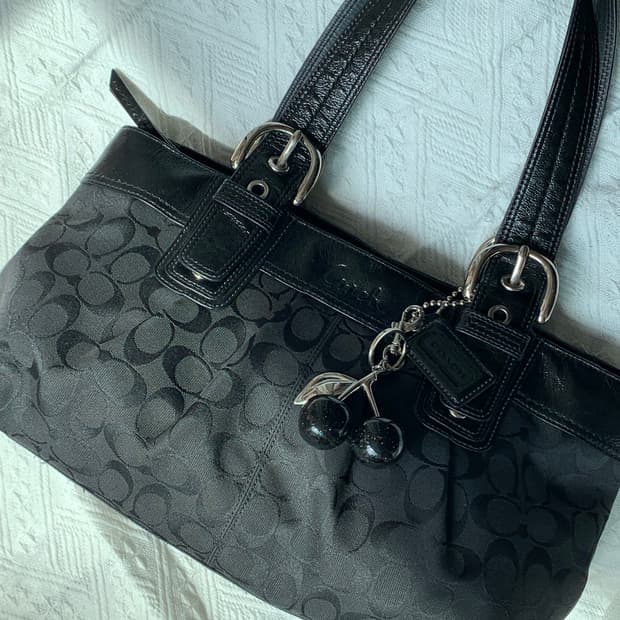 희귀 🖤 Coach 시그니처 올블랙 숄더백
