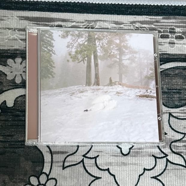 Wisp Pandora CD 새제품 슈게이징 슈게이즈 락
