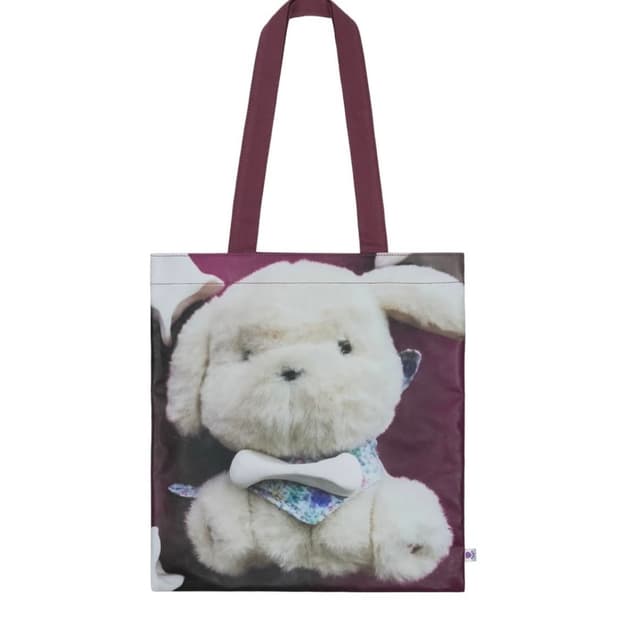 코이세이오 오후토트백