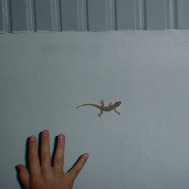 파인픽스 mx 1200 + 멀티리더기