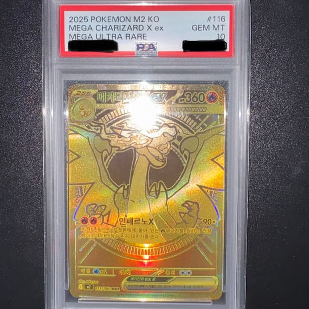 메가리자몽 ex mur PSA10등급