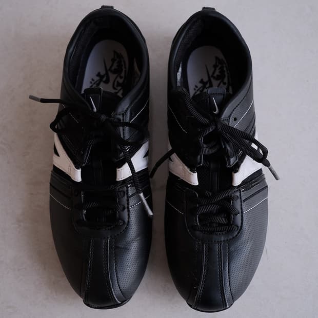 Nike Air Carpi, 2006