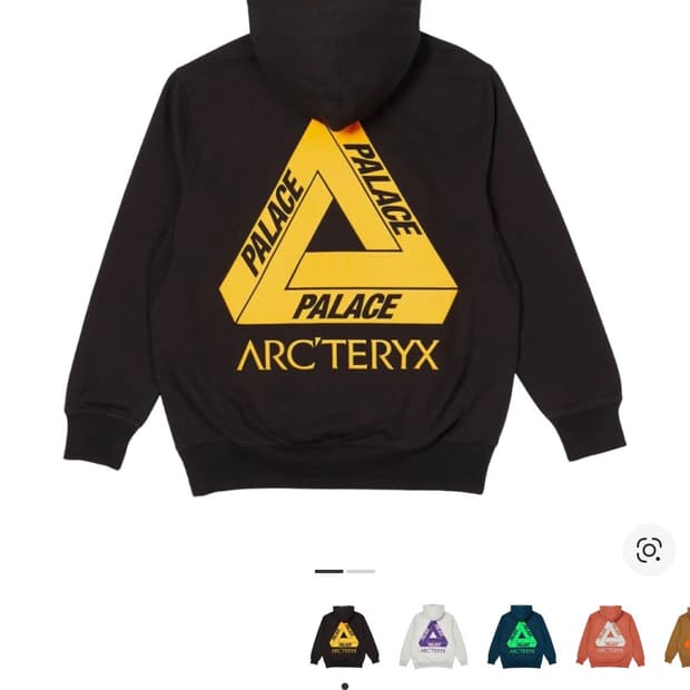 팔리스 아크테릭스 후드티