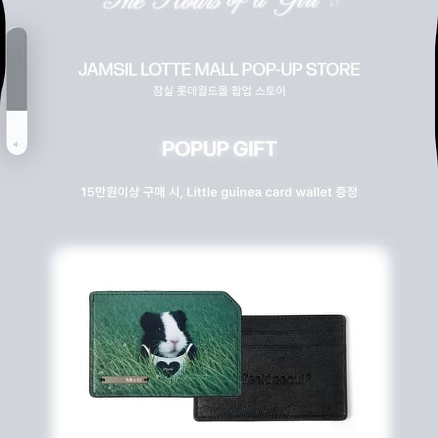 미세키서울 기니카드지갑
