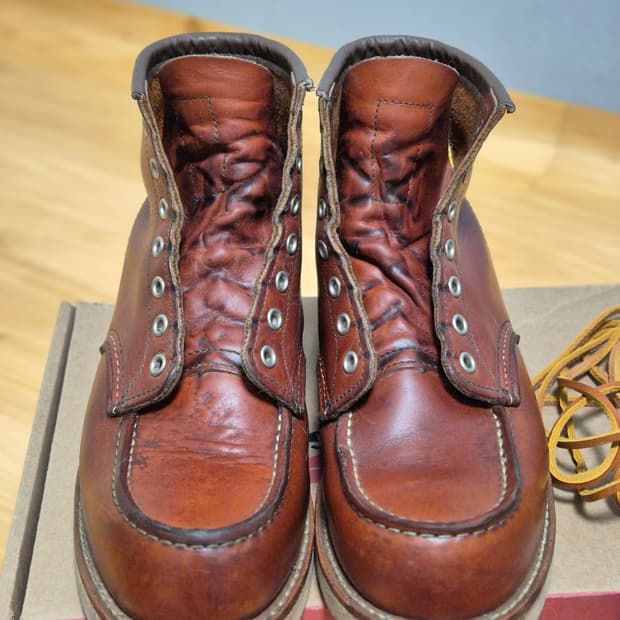 레드윙 목토 875 8E 260