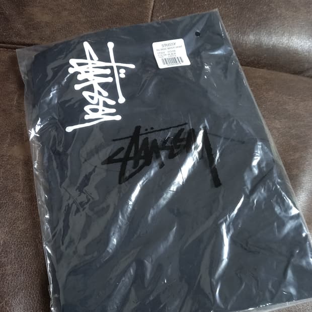 L]] stussy 워터쇼츠 반바지