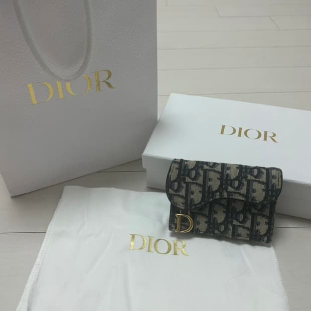 디올 오블리크 새들 카드지갑