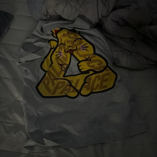 팔라스 럭키 p3 티셔츠 그레이 말 26 ss