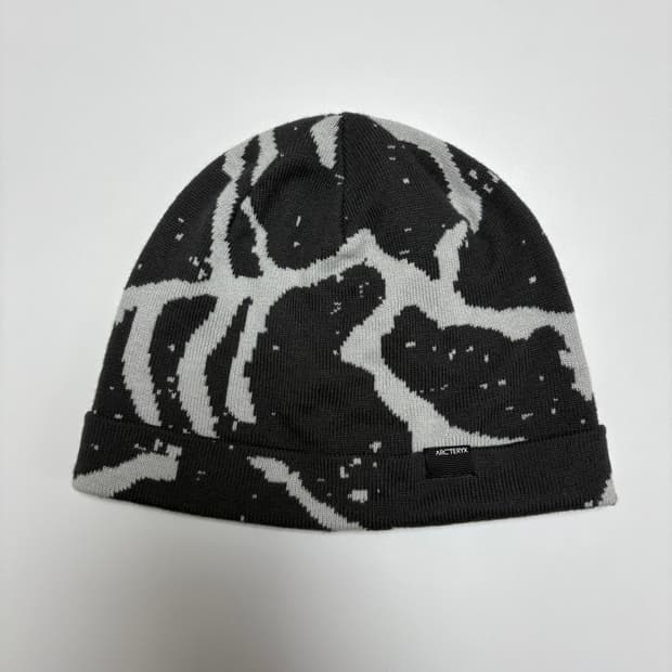 아크테릭스 비니