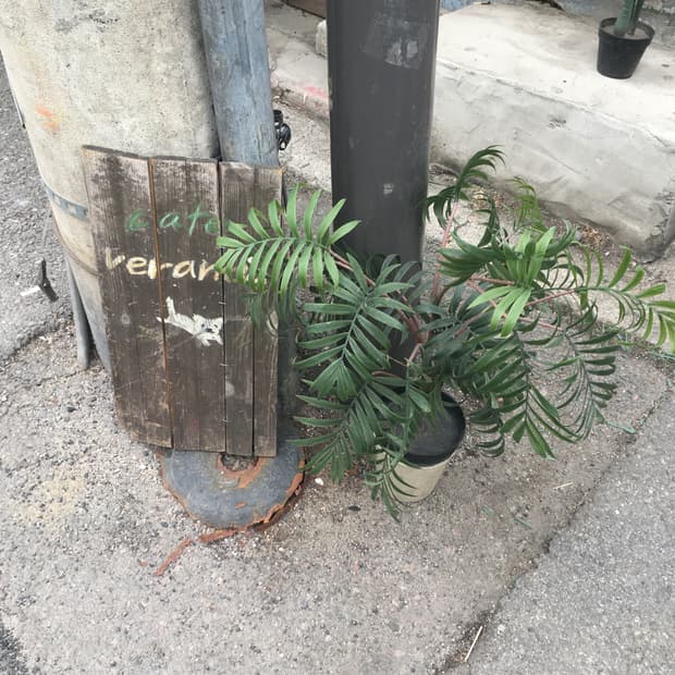 후지필름 파인픽스 AV100 디카 (작례O)