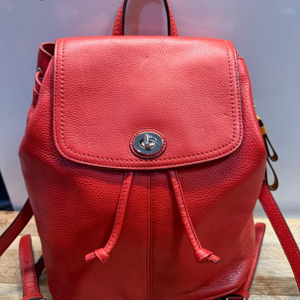 Coach Parker Backpack Tearose 코치 파커 백팩