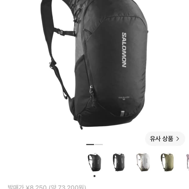 살로몬 트레일블레이저 10