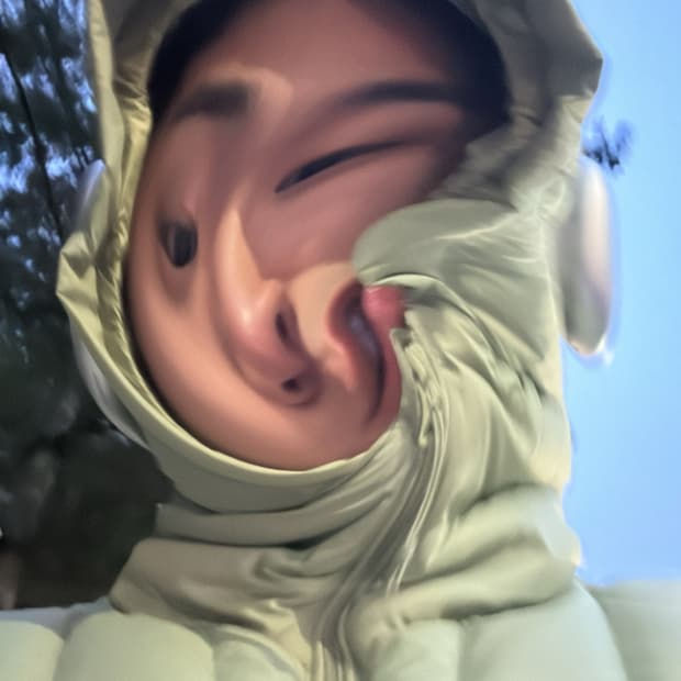디네댓 다운 풀오버 L