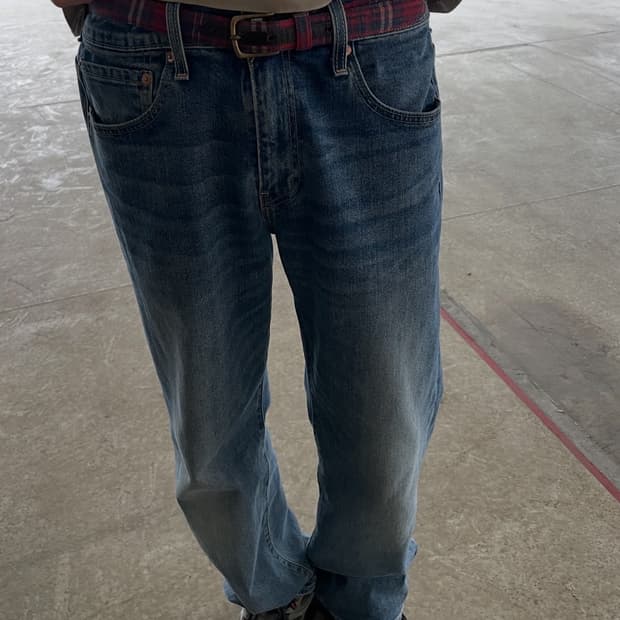 N.hoolywood check belt