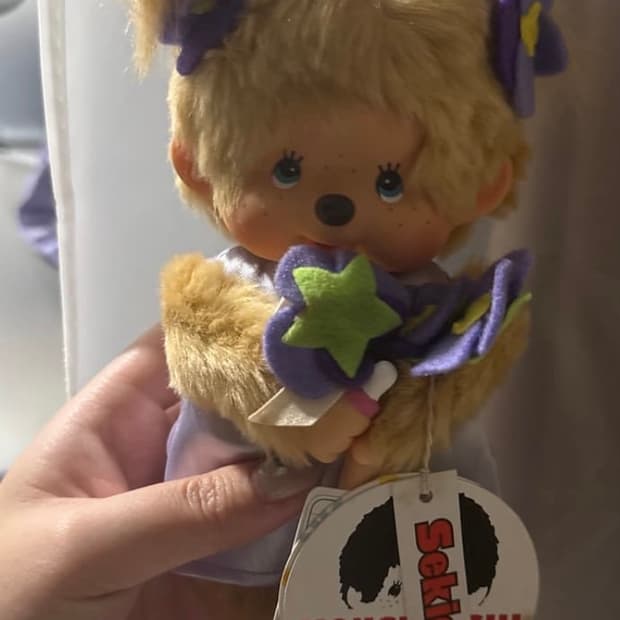 몬치치 제비꽃