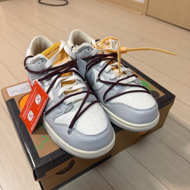 나이키x오프화이트 덩크로우 더 50 lot 46