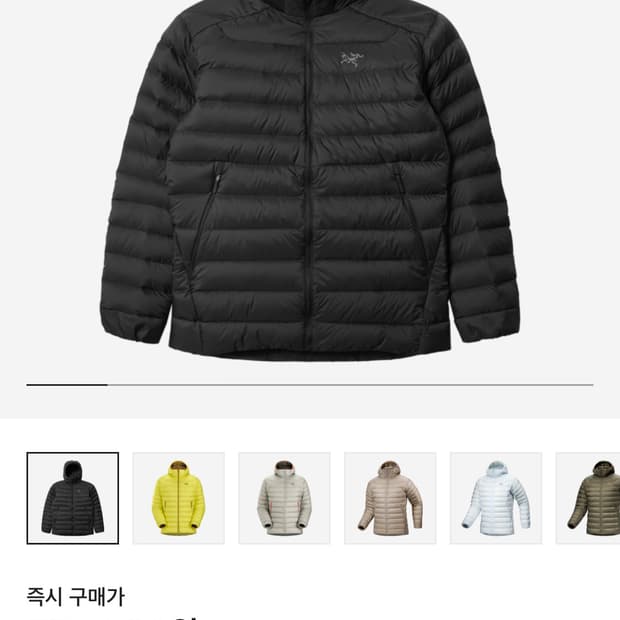 구매) 아크테릭스 세륨 후디 블랙 L