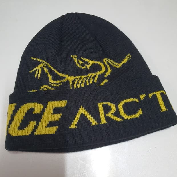 아크테릭스 팔라스 비니