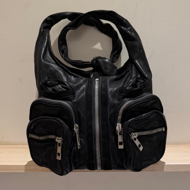 알렉산더왕 도나 호보백