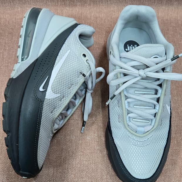 나이키 250mm- 남 녀 에어맥스 펄스 퓨어 플래티넘 아이언 그레이