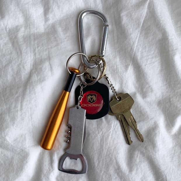 🎁Someone's Keyring #287