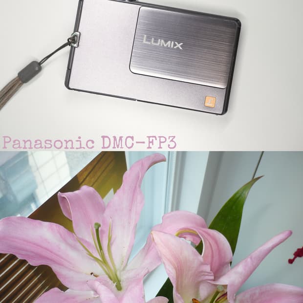 Panasonic DMC-FP3