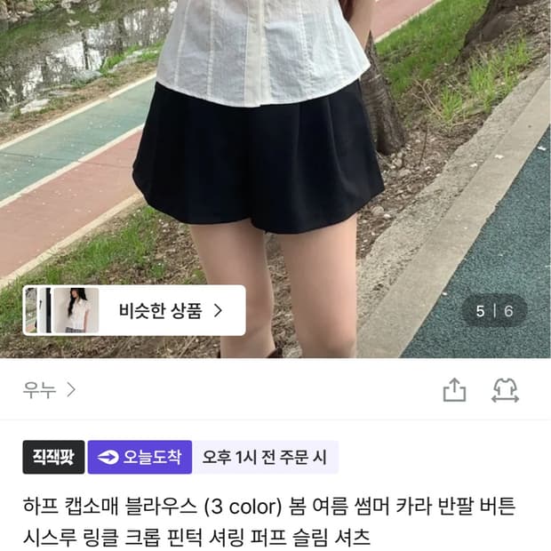 지그재그 여름 카라 블라우스 모리걸