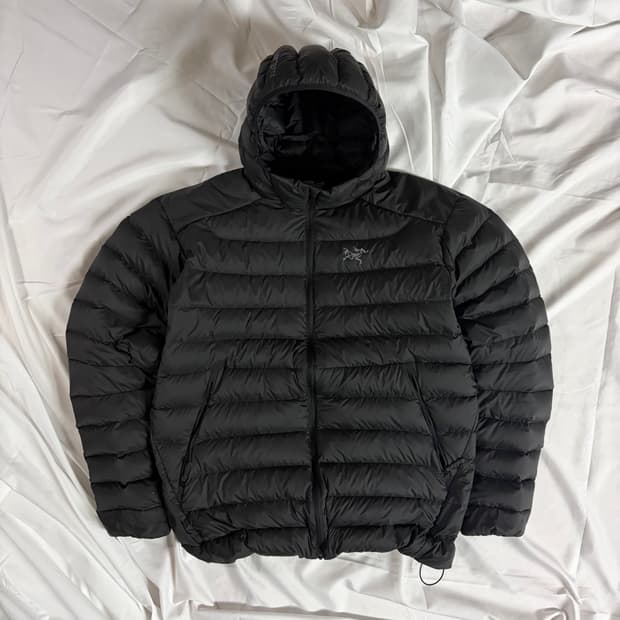 [L] 아크테릭스 세륨 후디 블랙