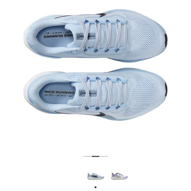 나이키 페가수스 41 240