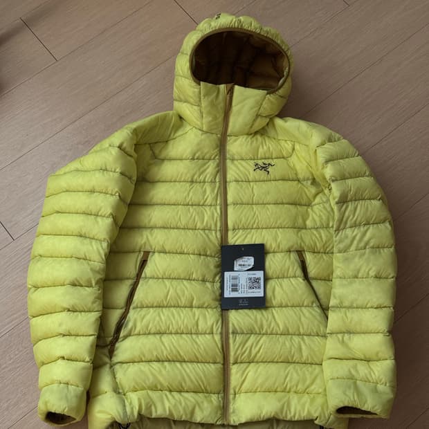 [S] 아크테릭스 세륨 후디 오라클