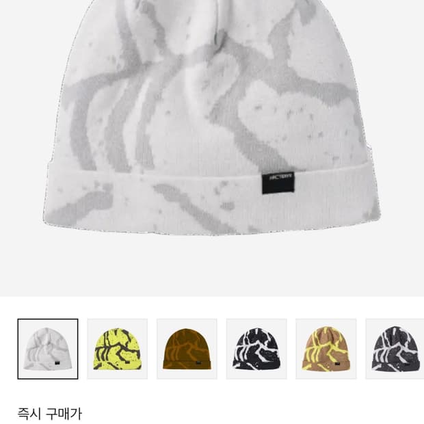 아크테릭스 비니