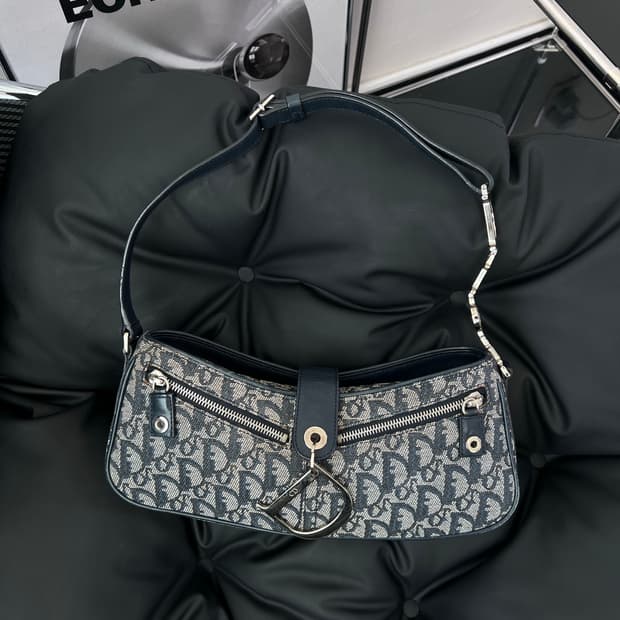 디올 오블리크 D참 바게트백