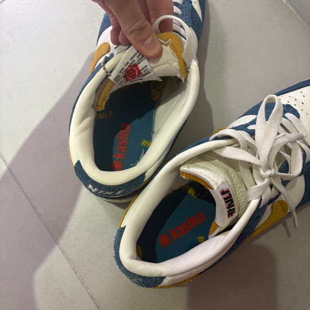 나이키 카시나 덩크 255