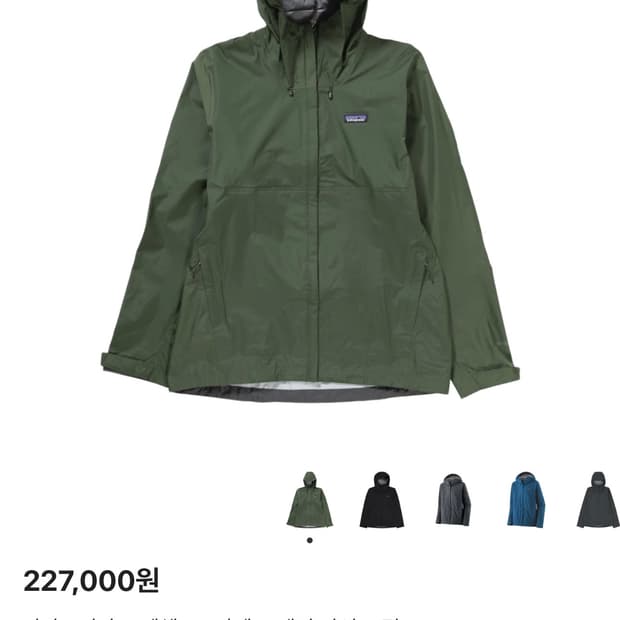 파타고니아 토렌트쉘 3L 자켓 그린