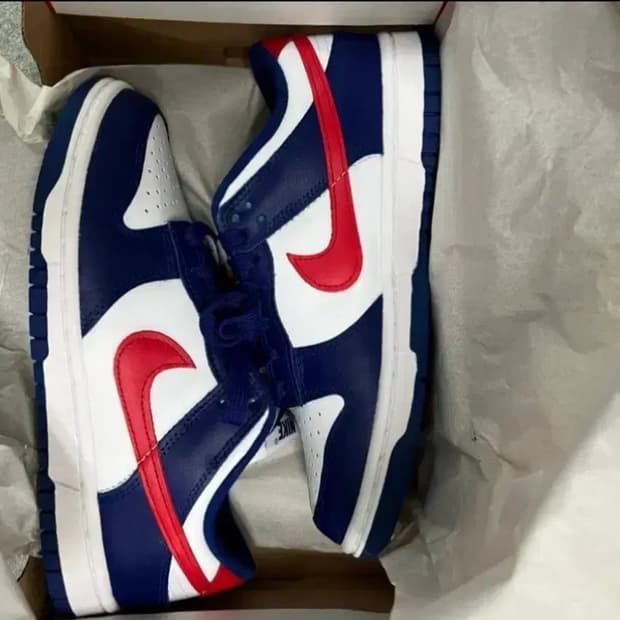 나이키 덩크 235